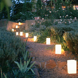 �������� ��������� ����