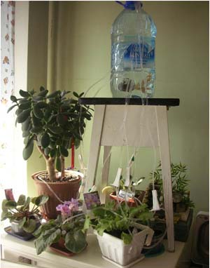 �������� �������� � �������